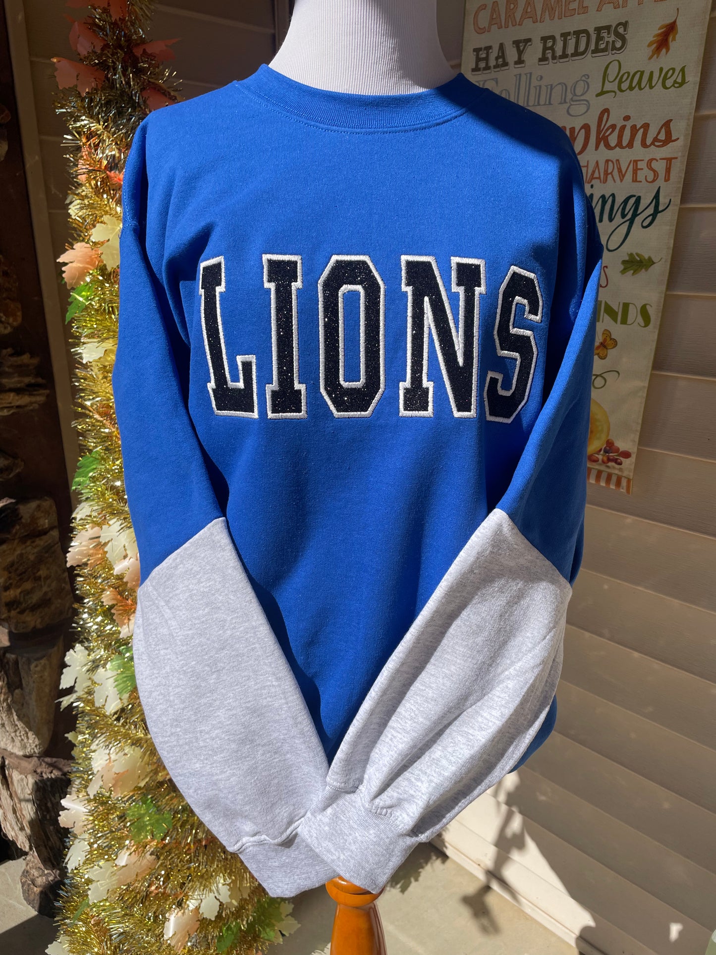 Lions Colorblock Sweatshirt